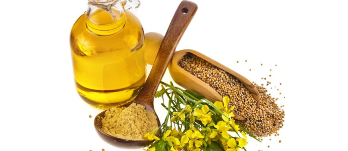 Hardal Tohum Yağı'nın Faydaları