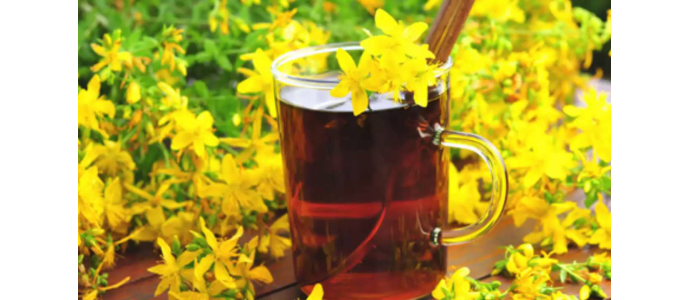 Kantaron Yağı'nın Faydaları 